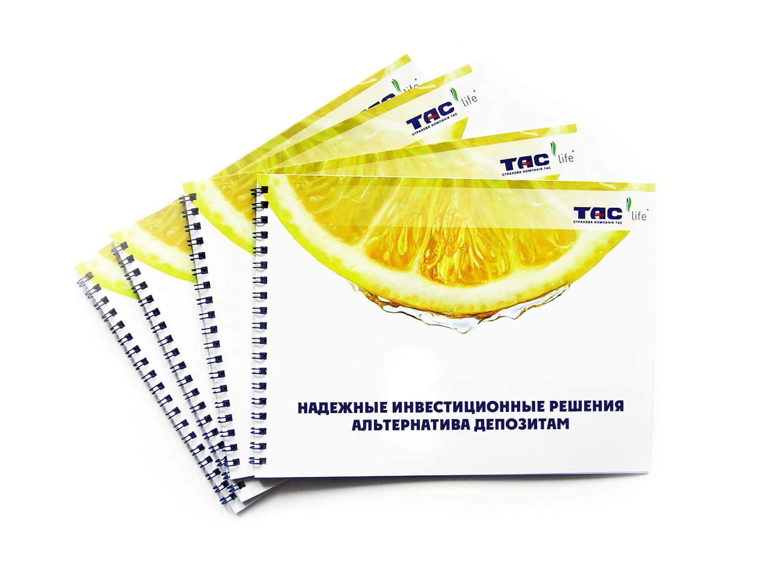 Каталог на пружине