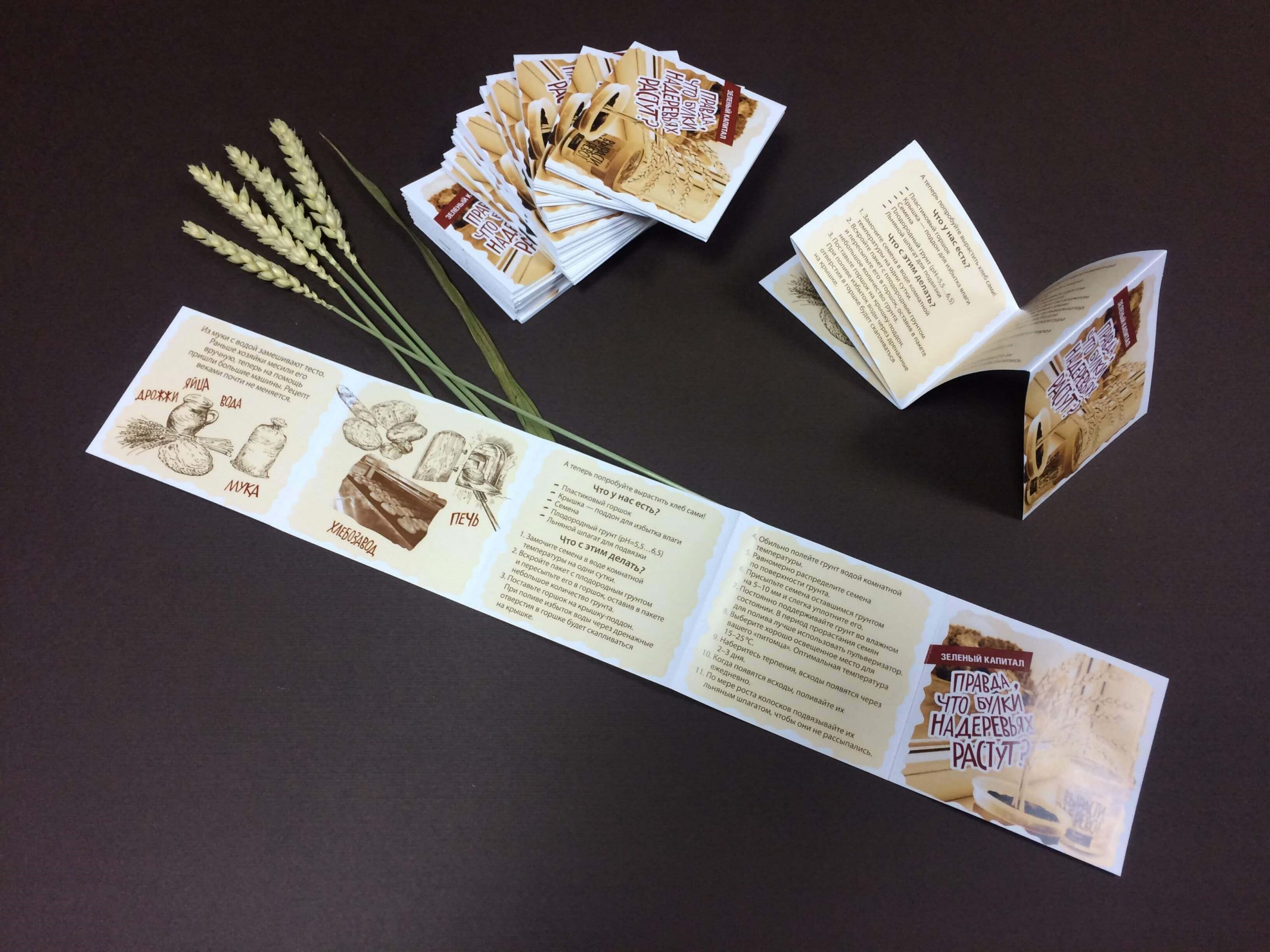 Печать буклетов