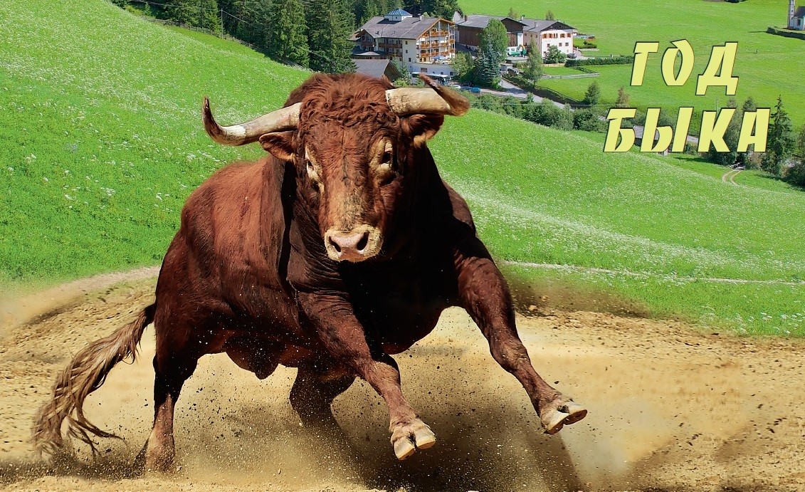 Печать календарей 2021 год