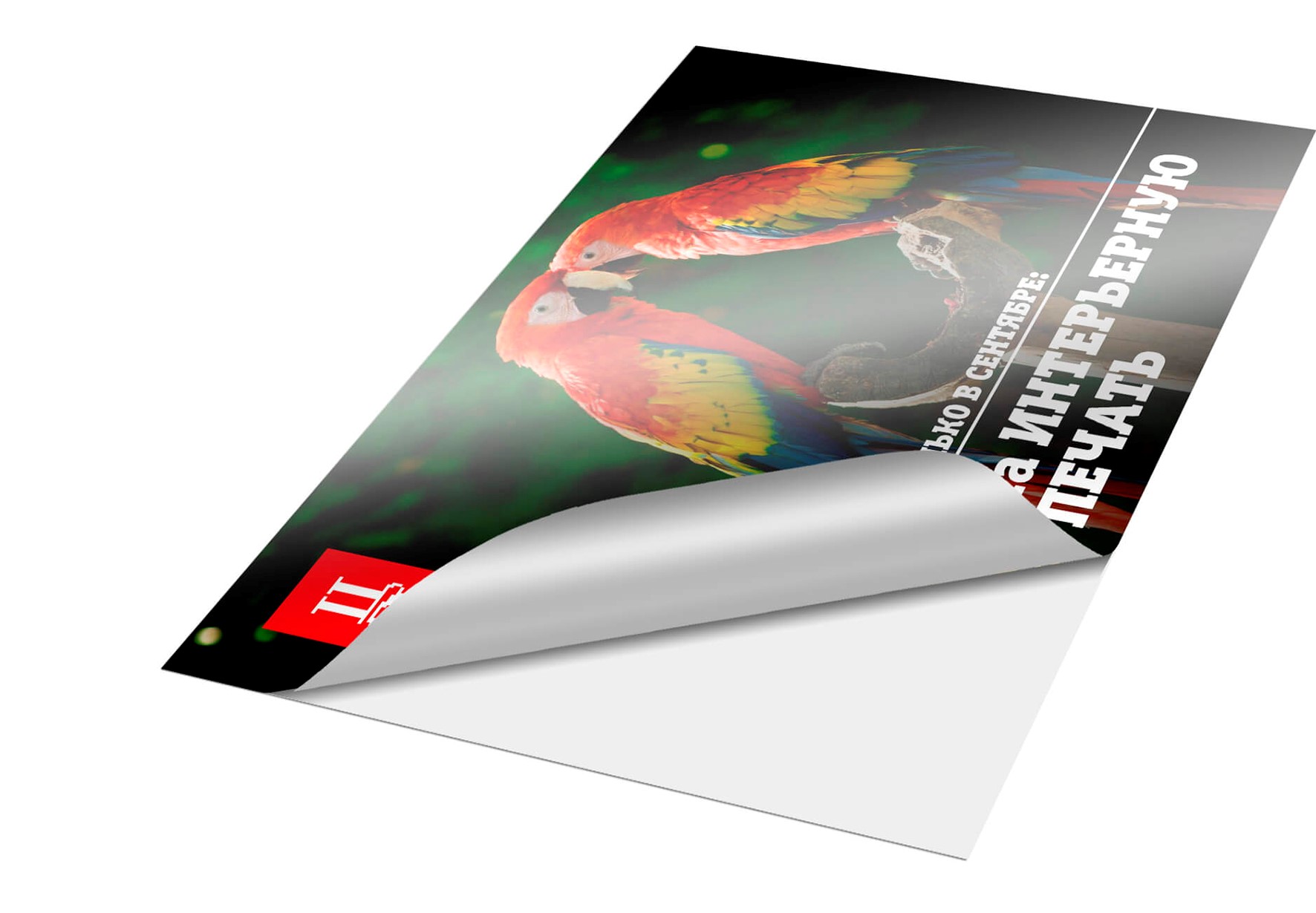 Печать наклеек на пленке