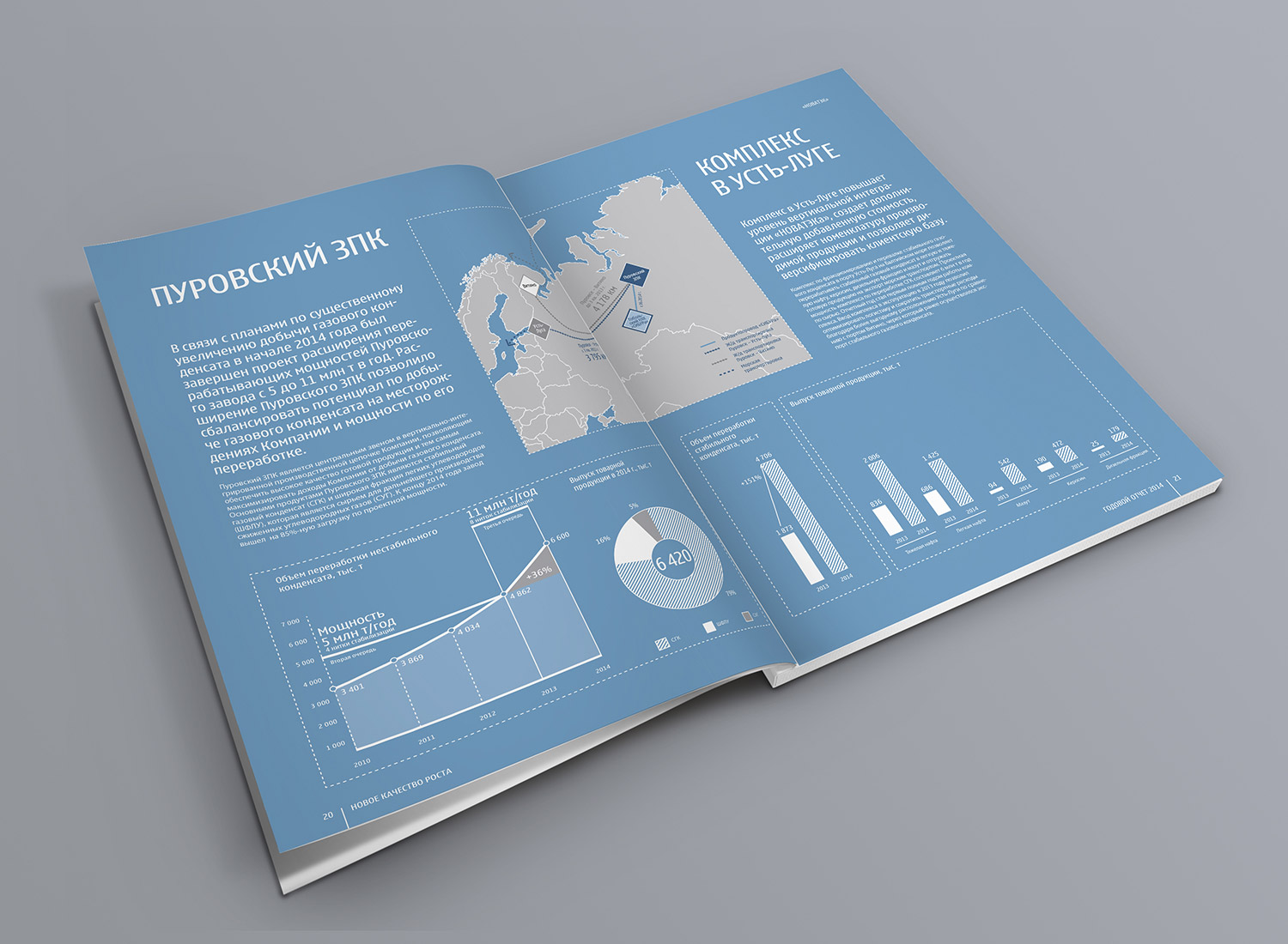 Срочная печать годовых отчетов