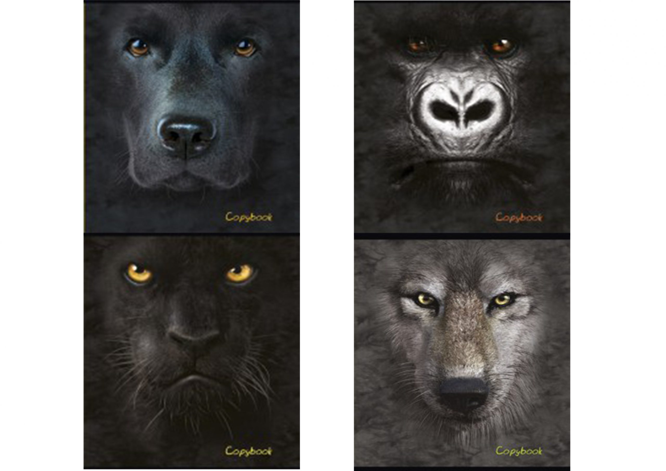 Срочная печать тетрадей