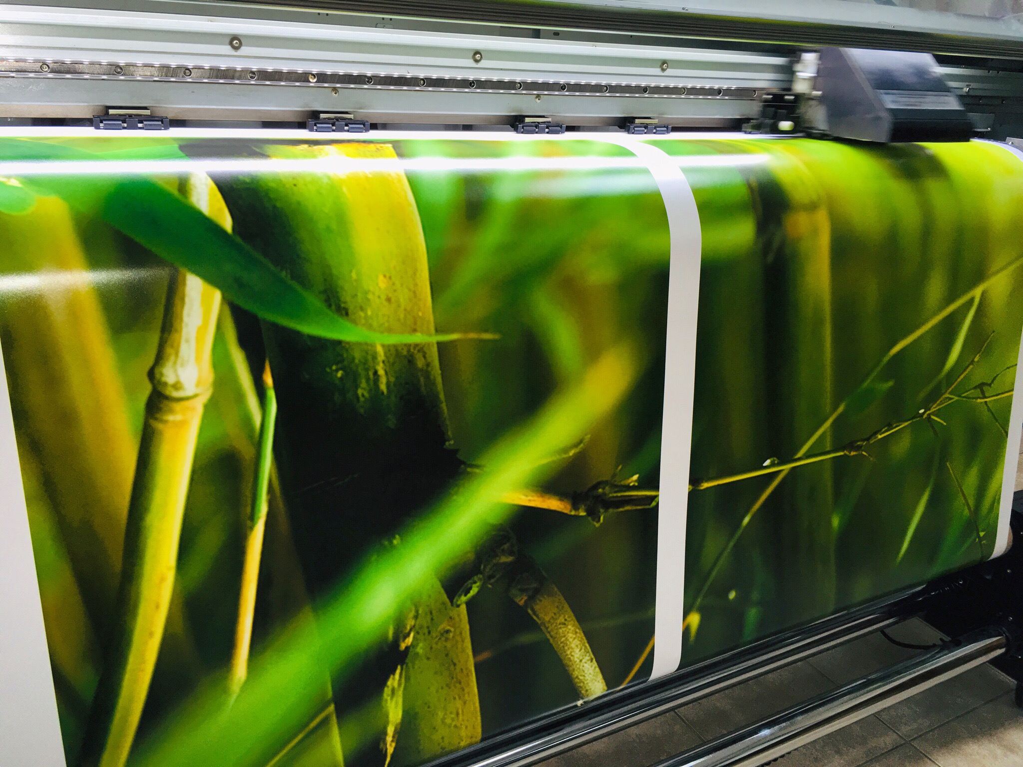 Интерьерная печать 1440 dpi