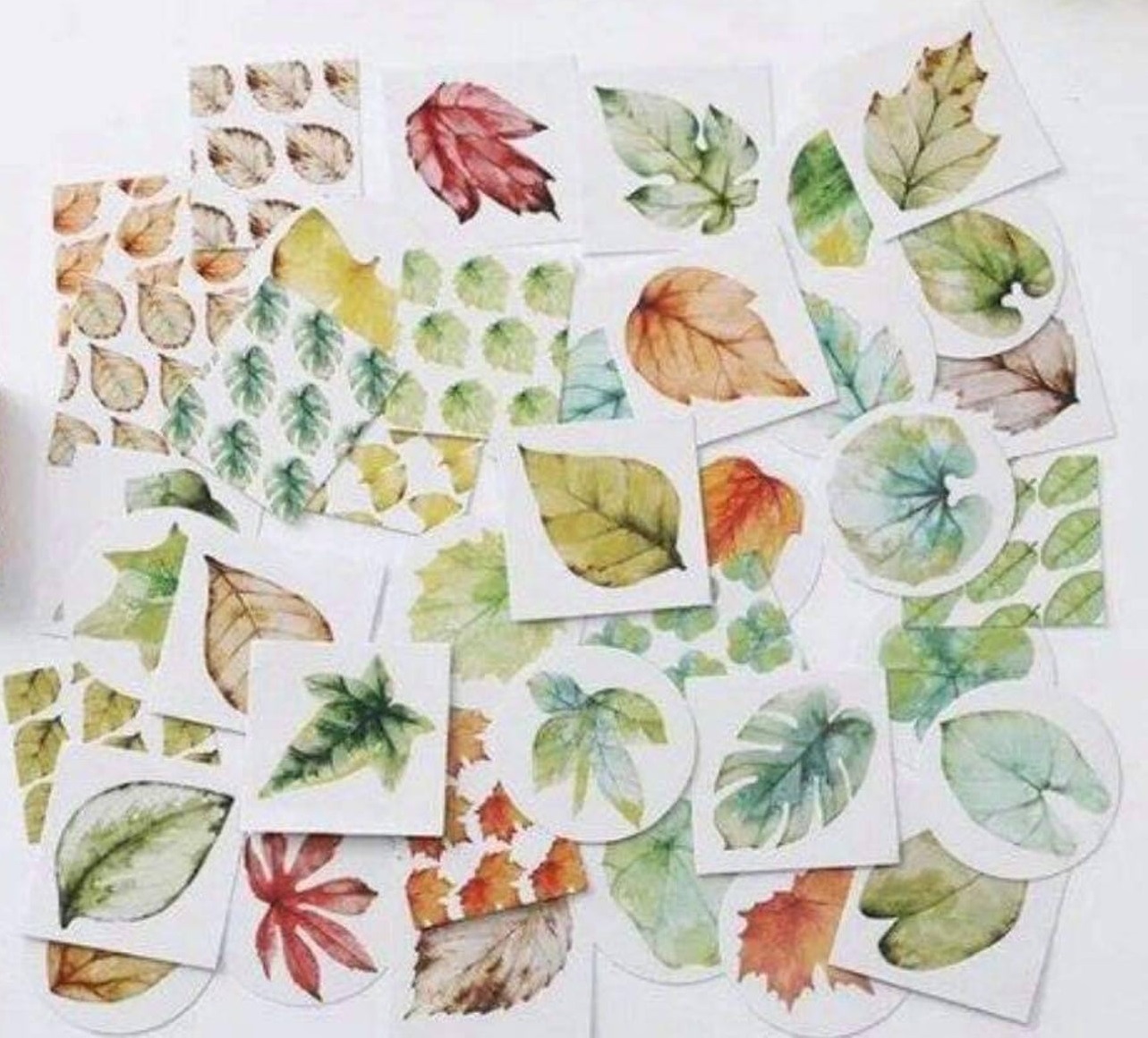 Печать наклеек для скрапбукинга