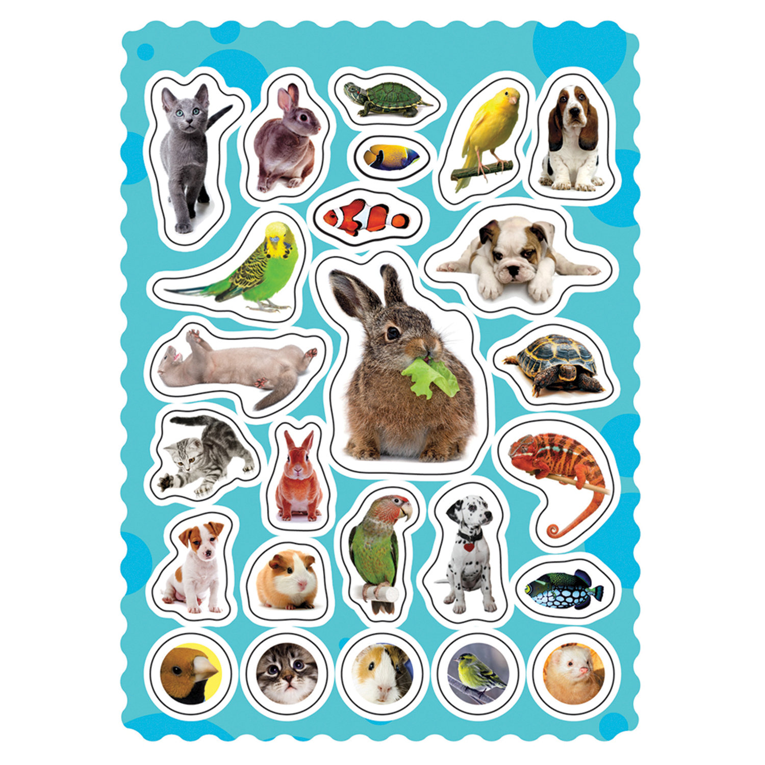 Печать наклеек животных