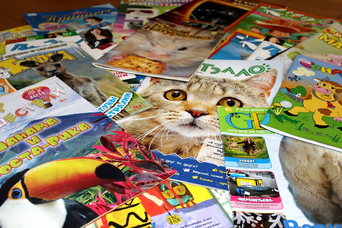 Печать переодических журналов