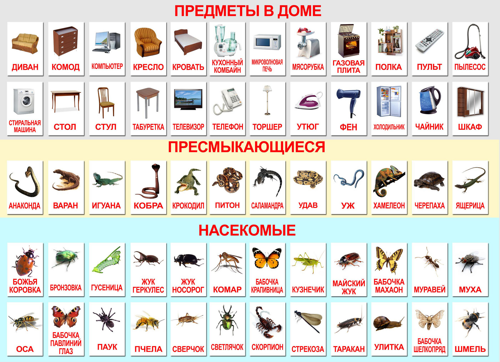 Печать развивающих карточек для детей