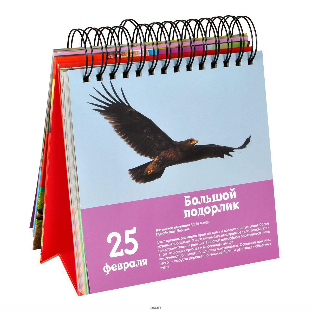 Печать квартальных календарей на пружине