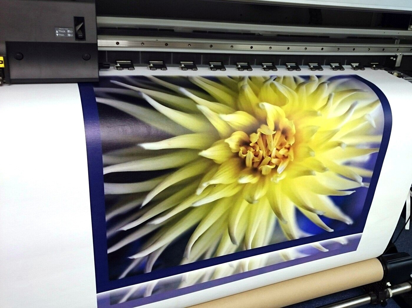 Широкоформатная печать на холсте А5