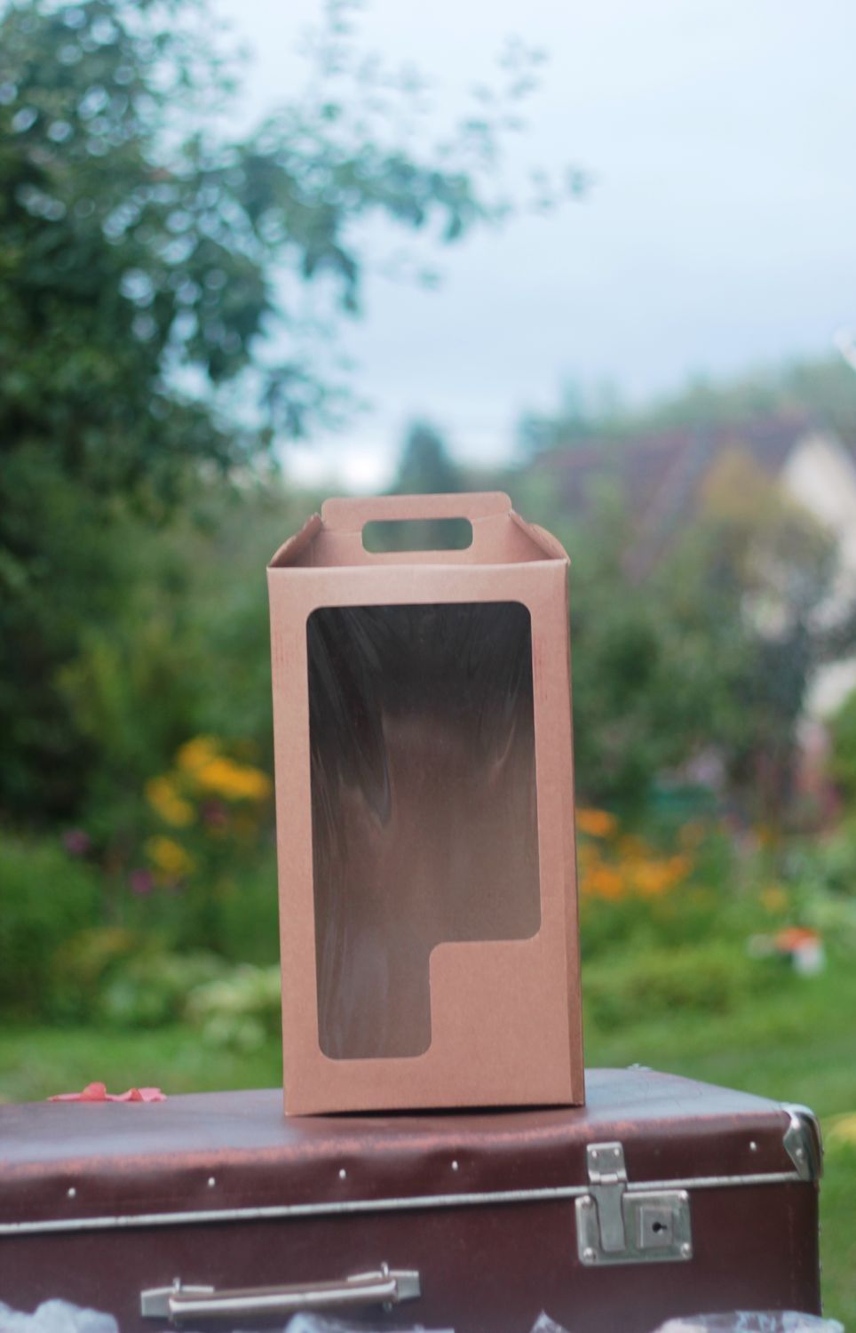 Картонная упаковка для кукол