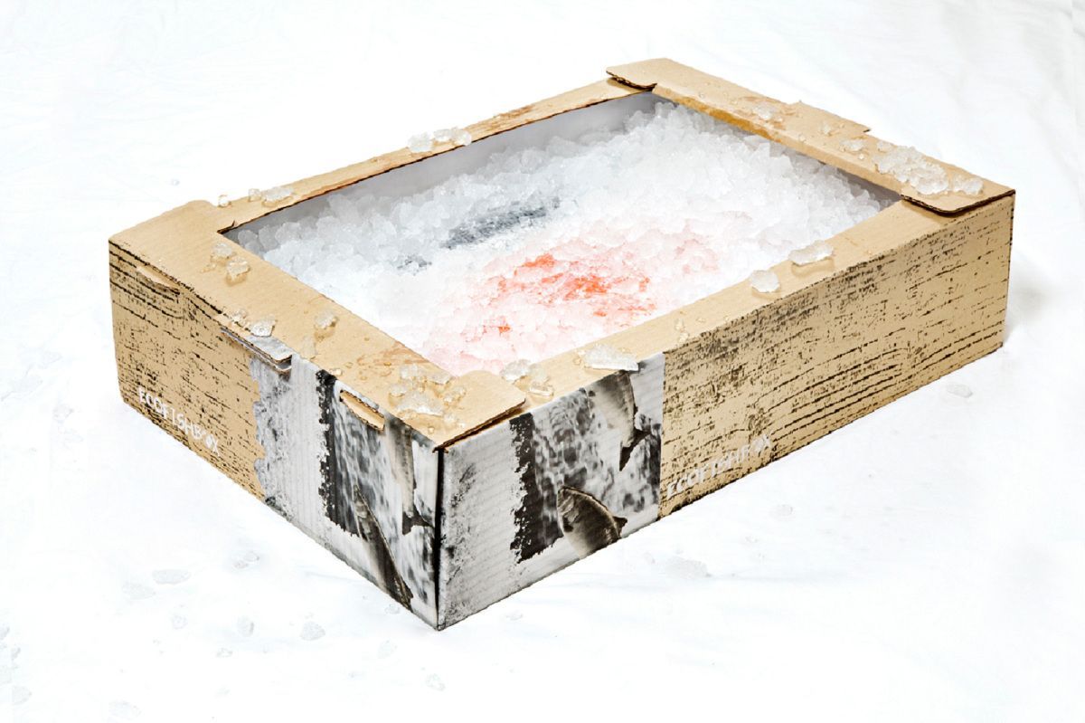 Коробки для замороженной продукции