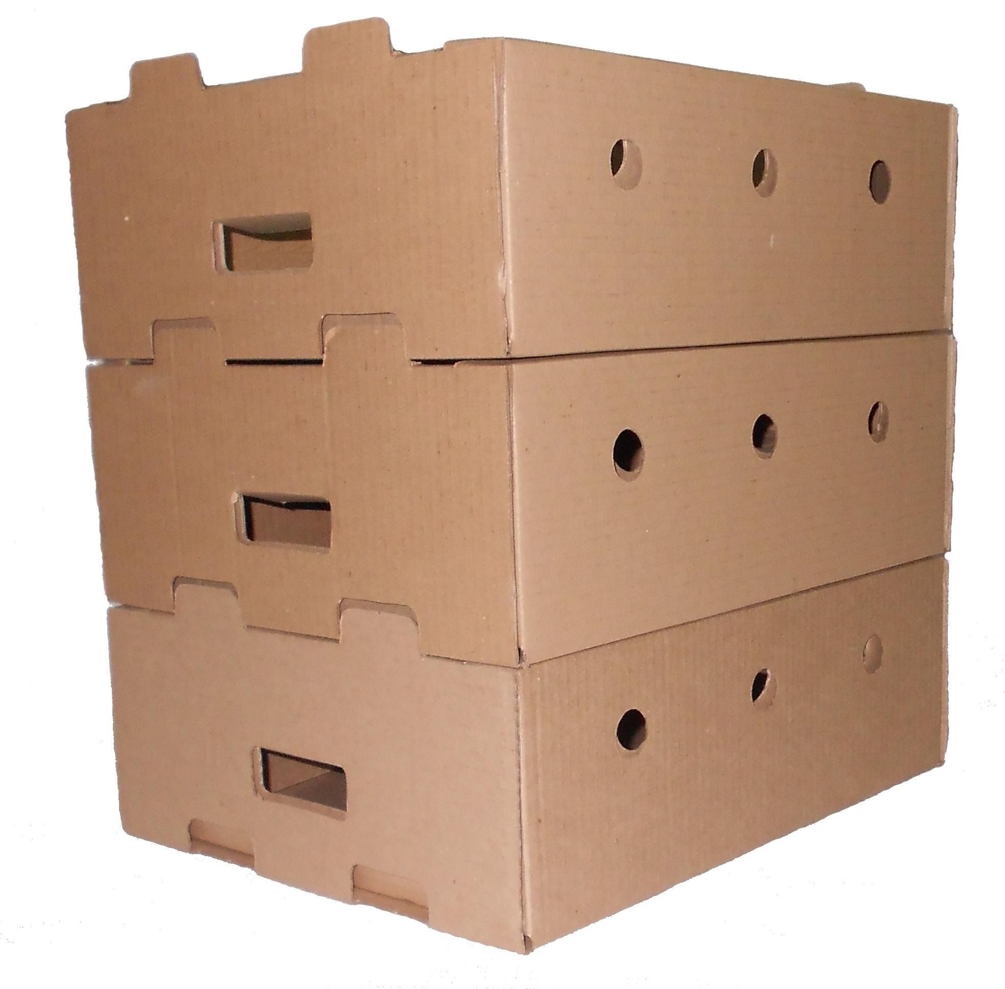 Гофроящики для лука