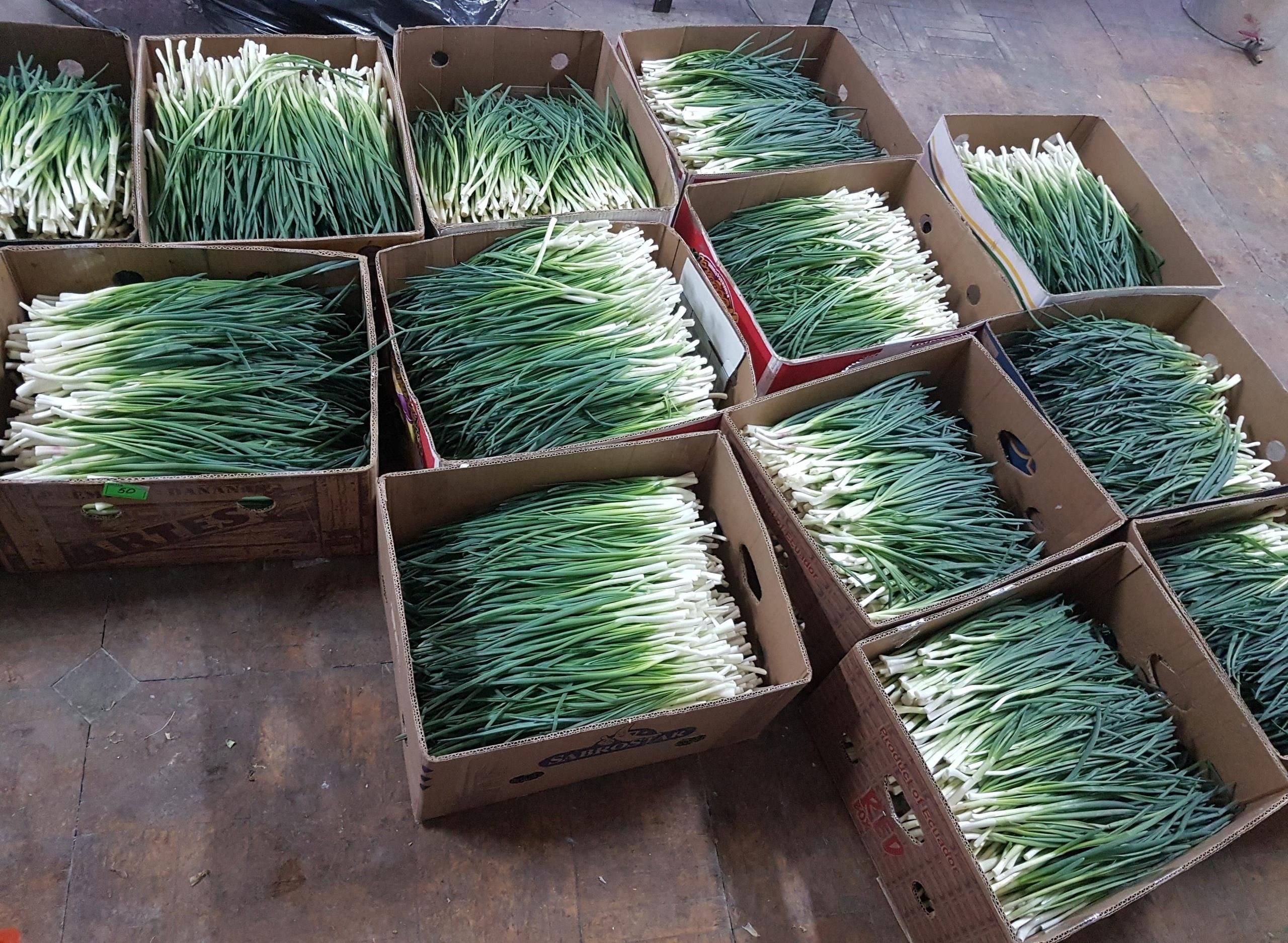 Гофроящики для лука