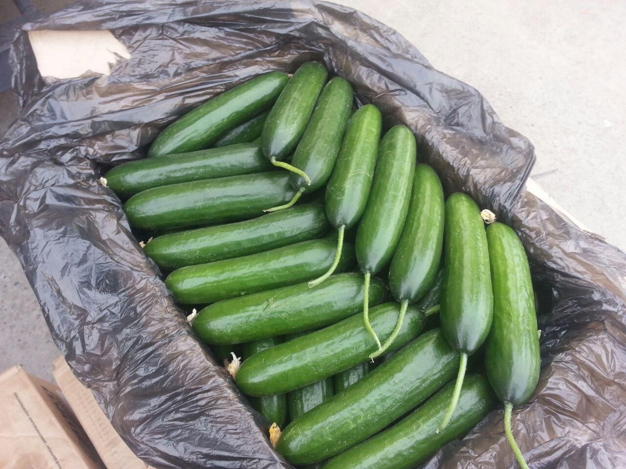 Гофроящики для огурцов