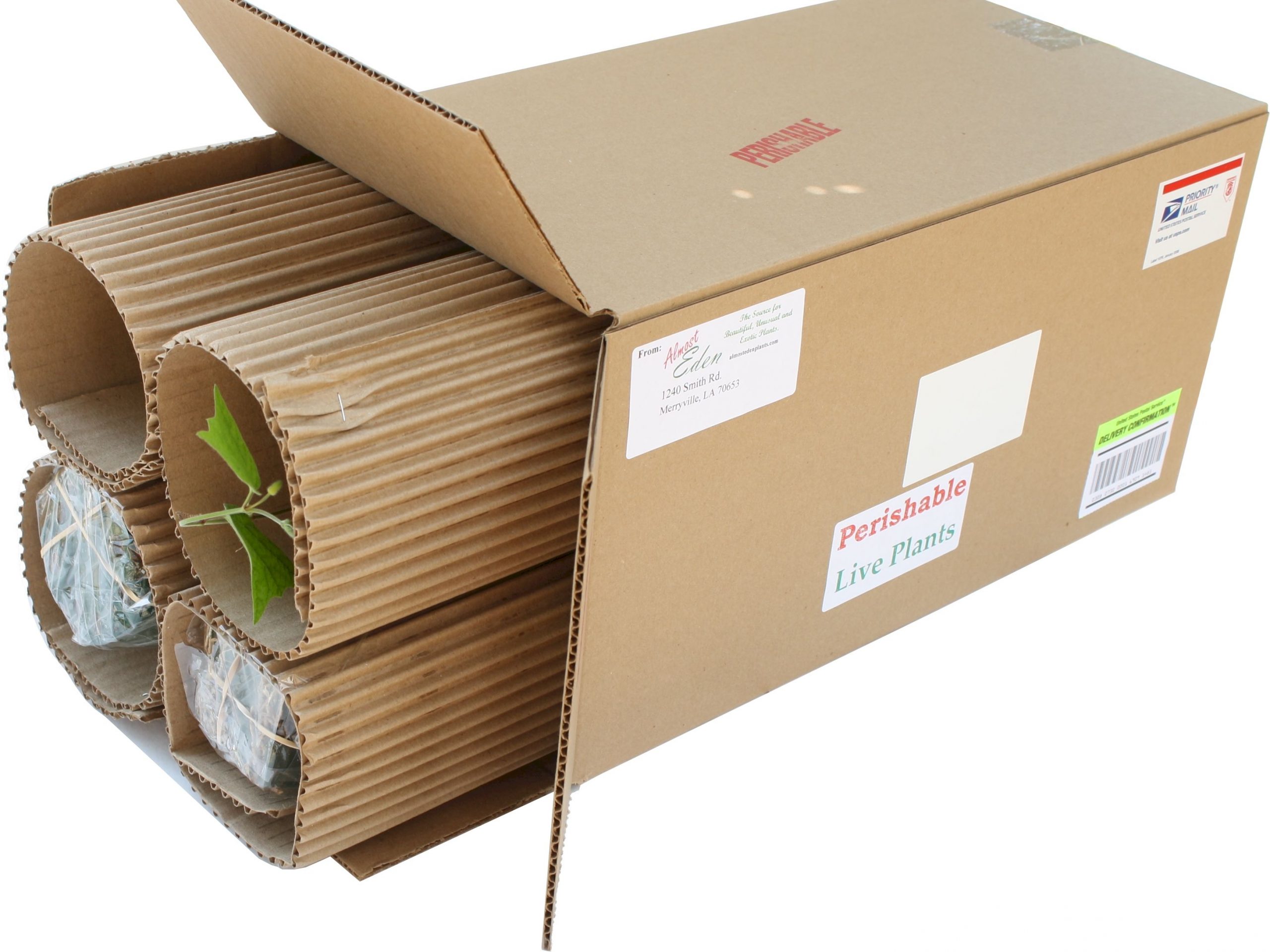 Картонные коробки для теплиц