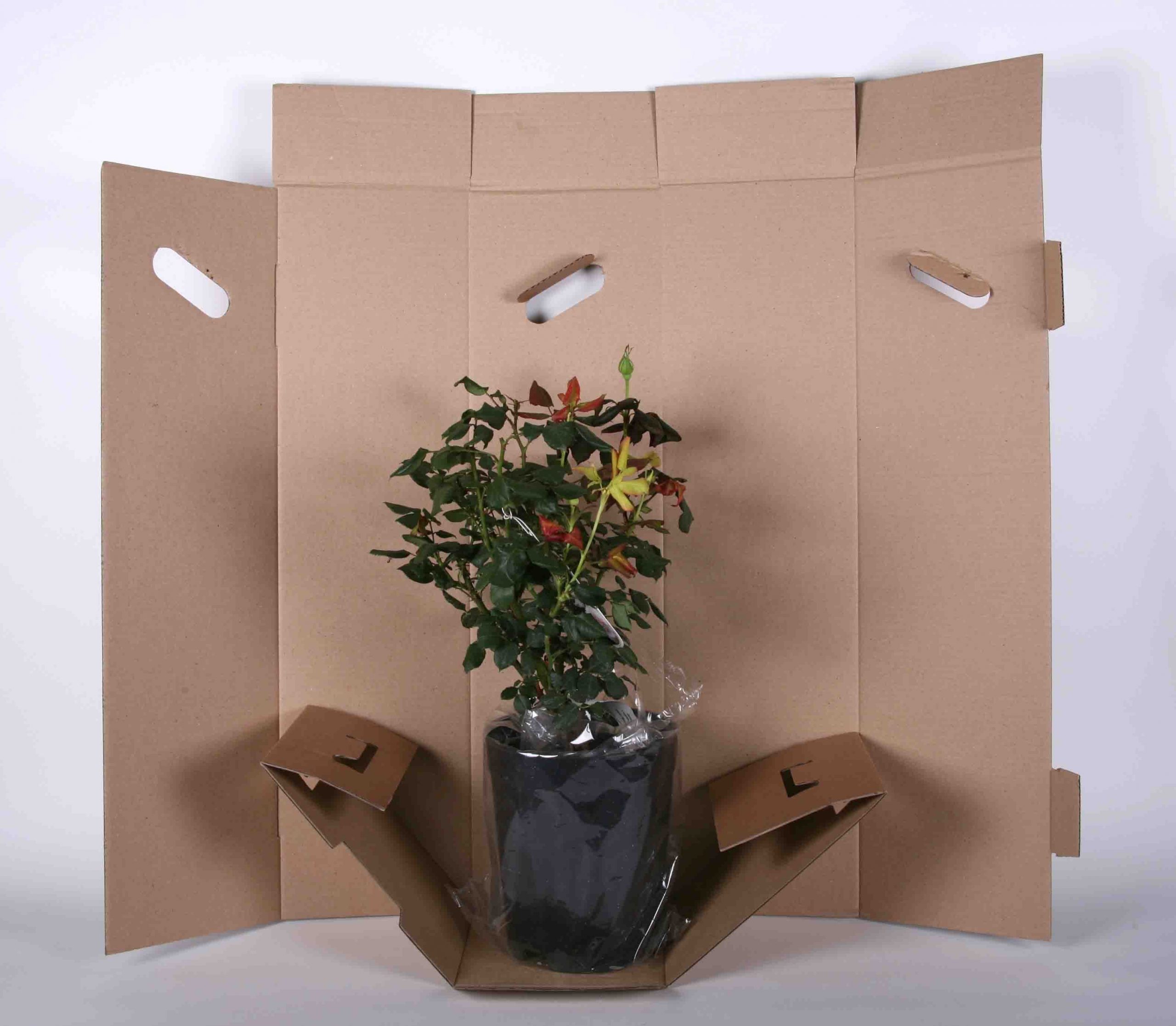 Коробки для цветов в горшках
