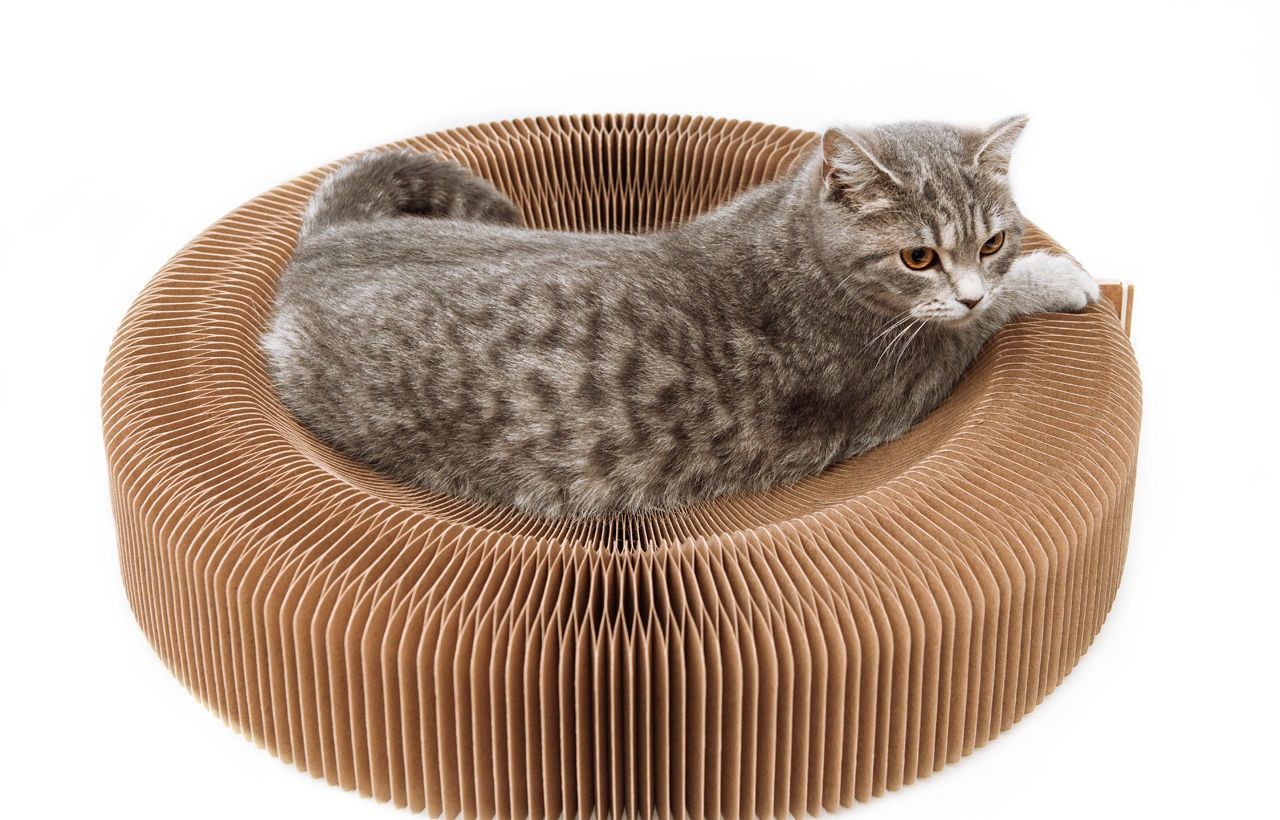 Коробки для товаров для животных