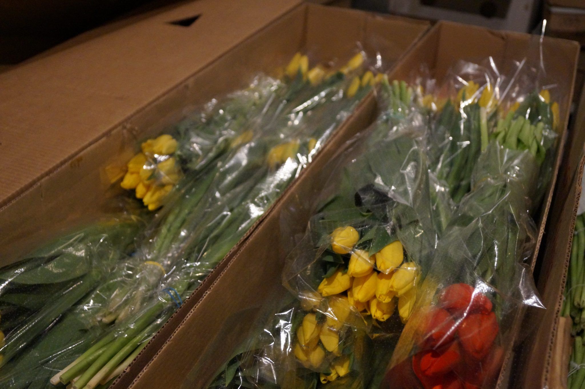 Коробки для транспортировки цветов