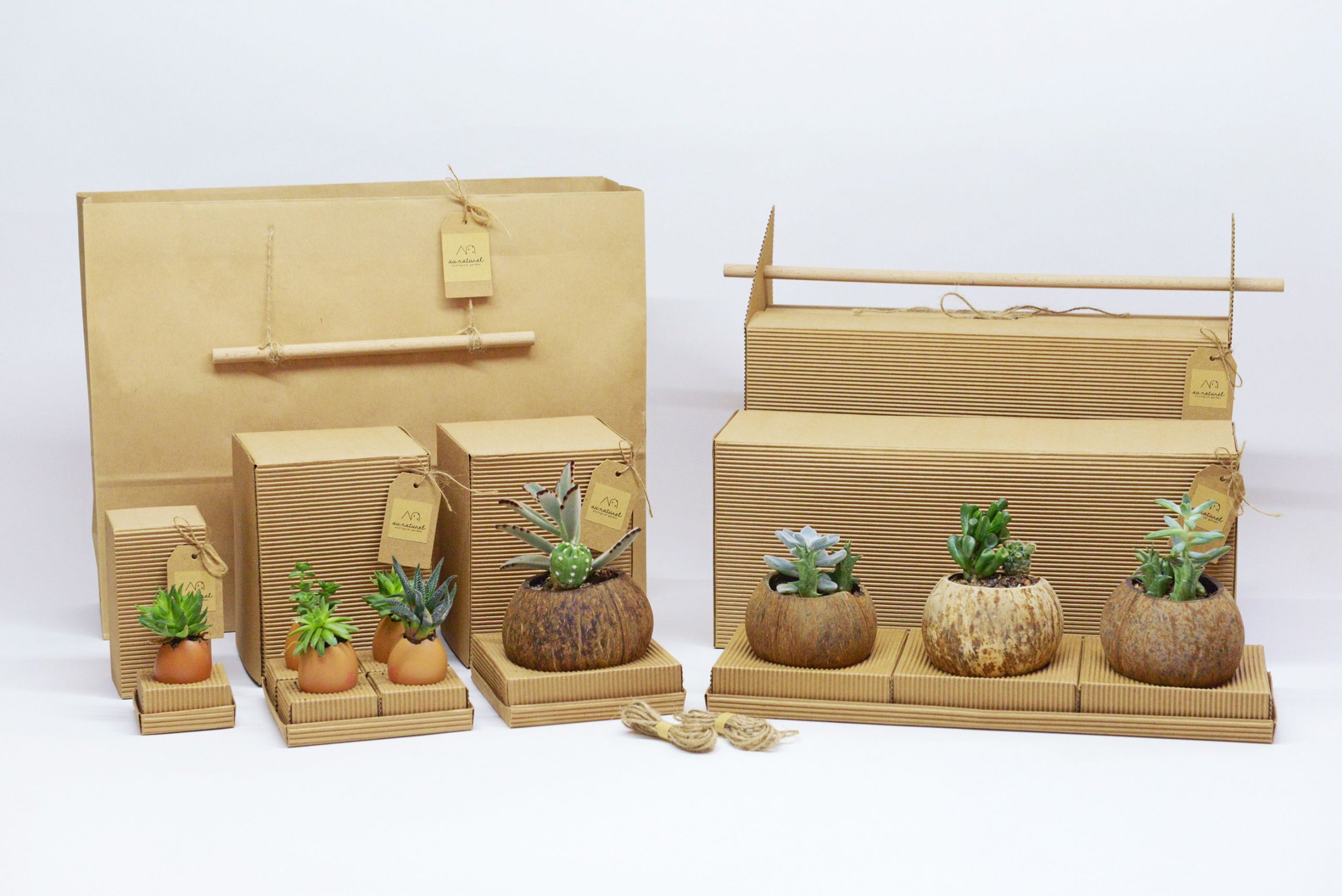 Коробки для транспортировки цветов