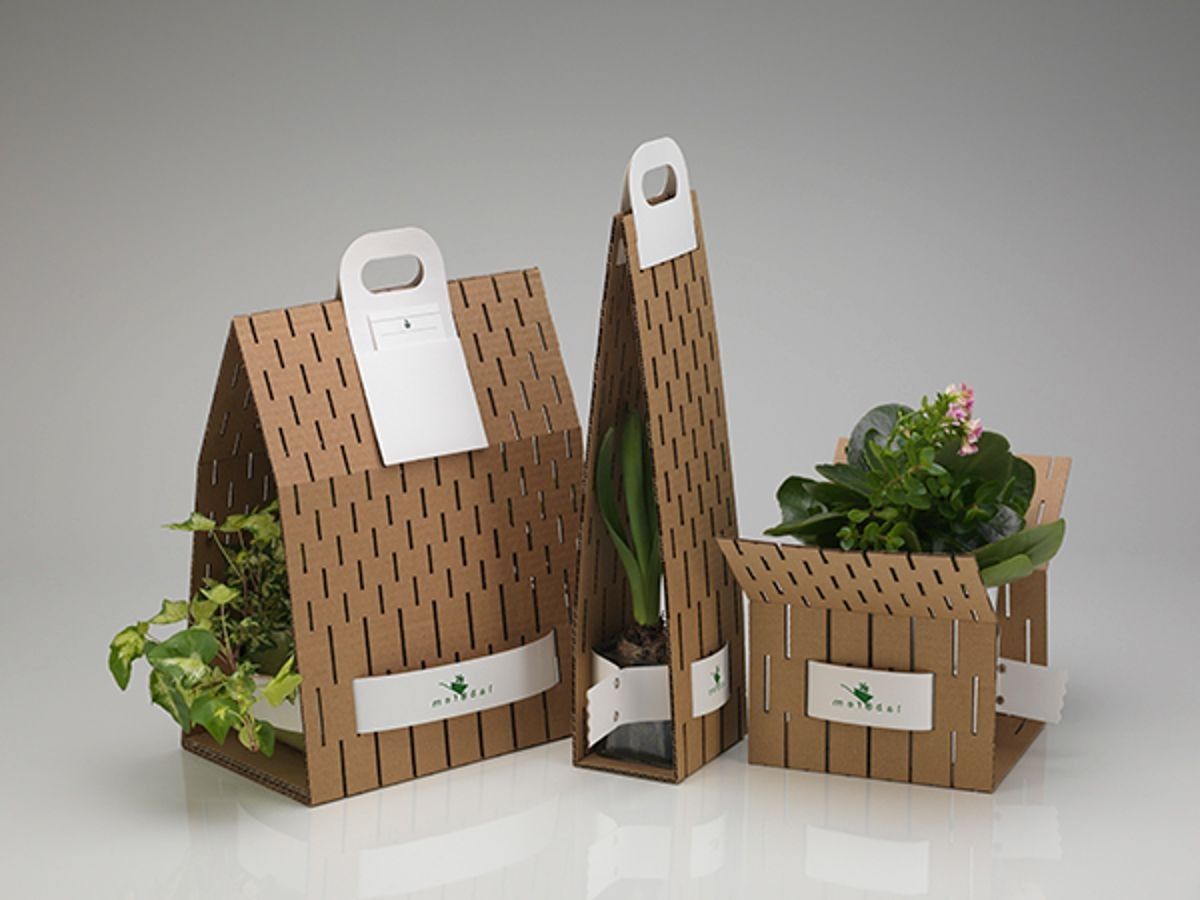 Коробки для транспортировки цветов