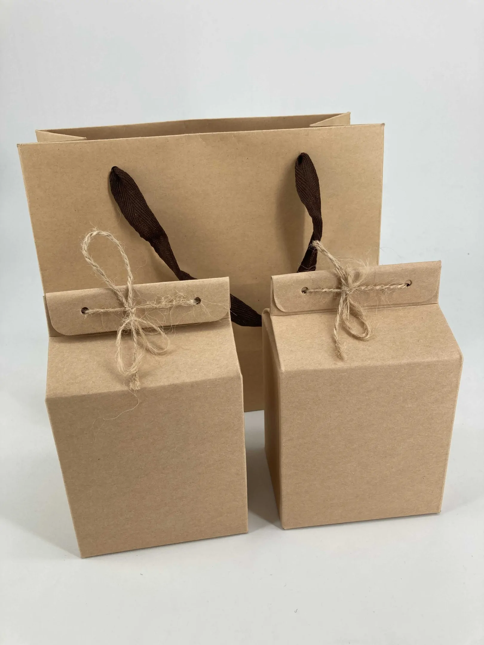Упаковка со шнурками из картона