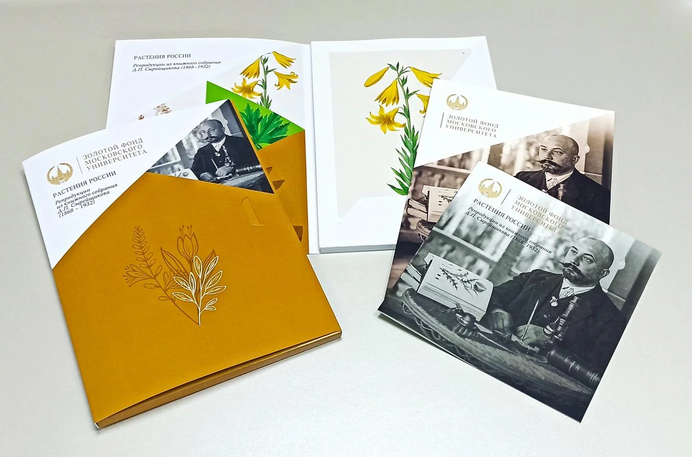 Кашированные папки для образцов