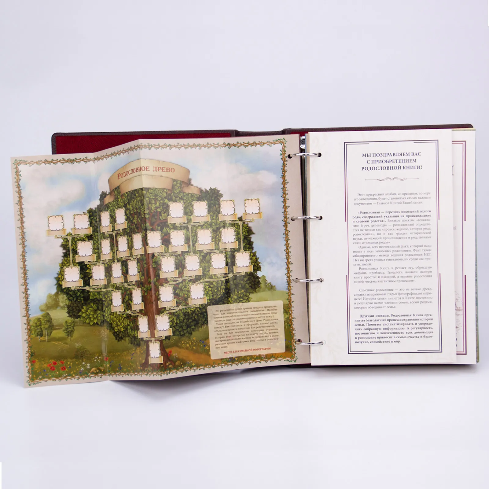 Бумажная упаковка для книг