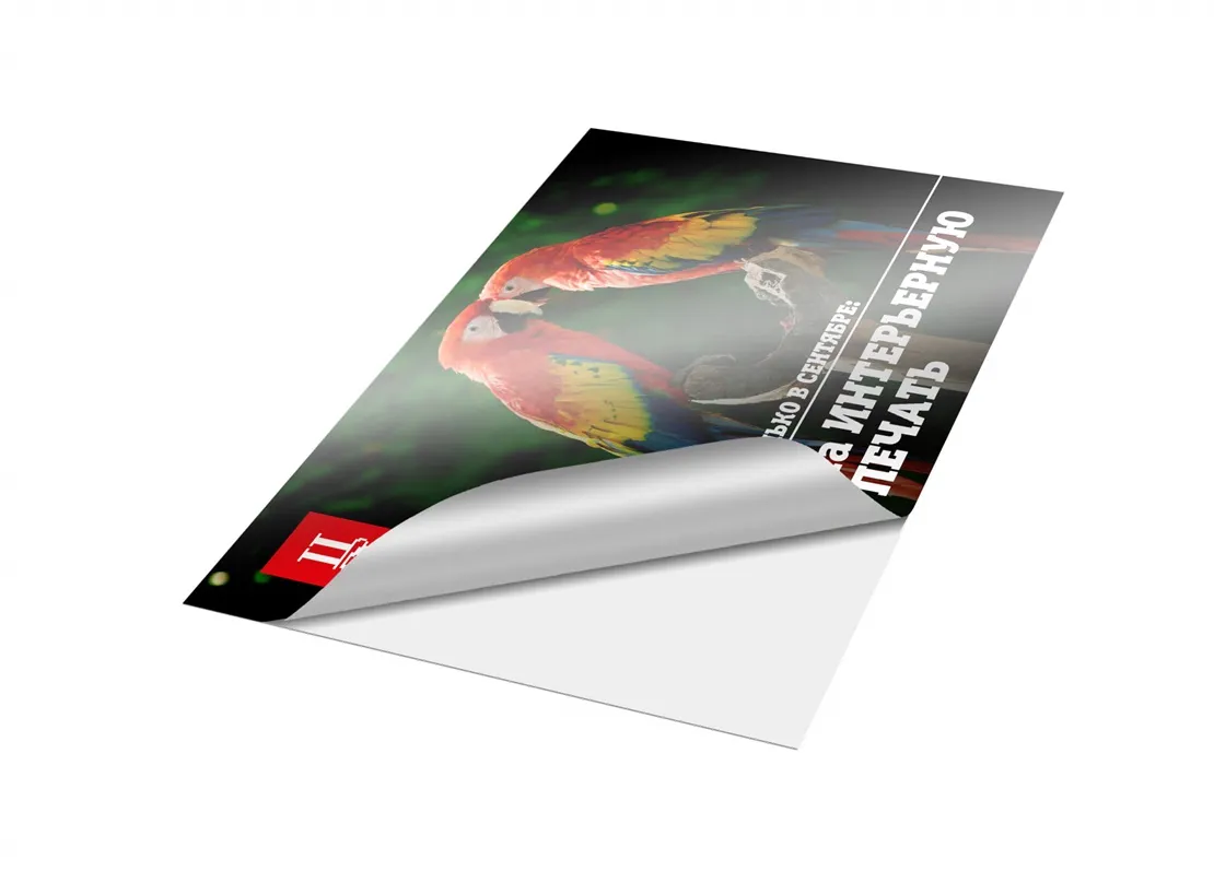 Печать самоклеящихся плакатов