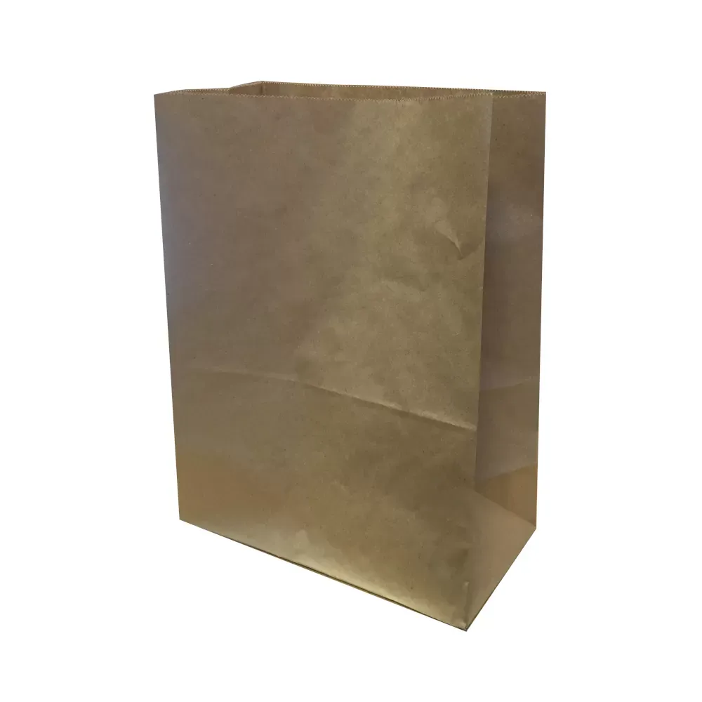 Бумажные пакеты 22х32х8