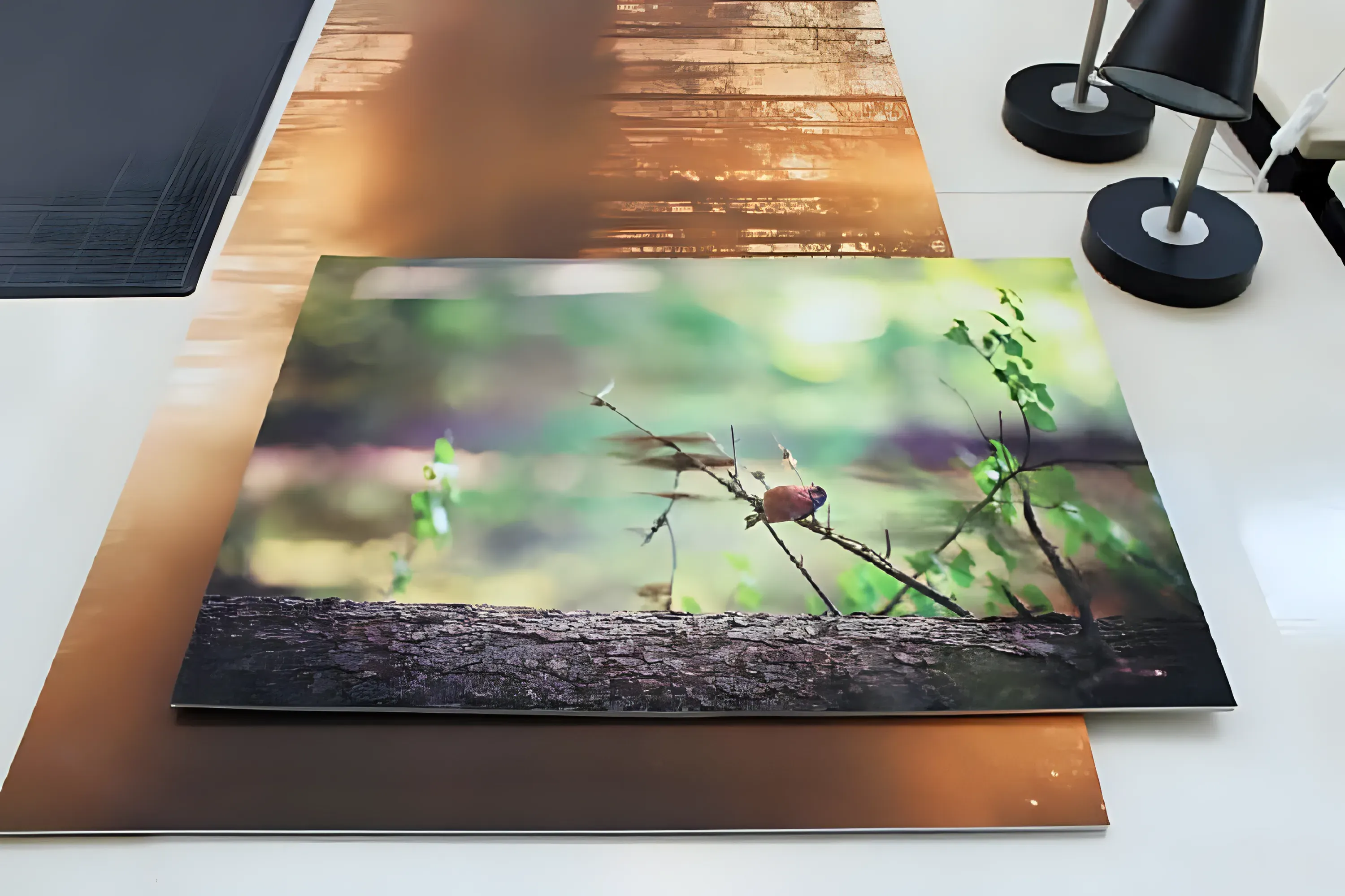 Изготовление пластиковых плакатов