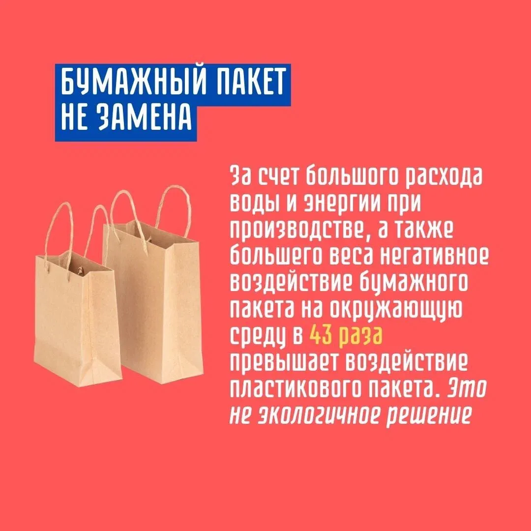Плюсы и минусы бумажных пакетов