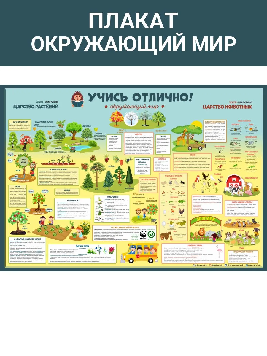 Печать плакатов для начальной школы