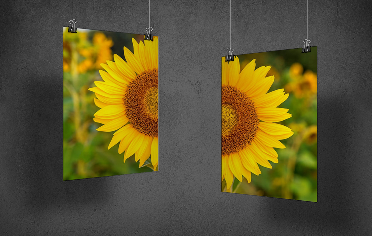 Цветная печать формата А1