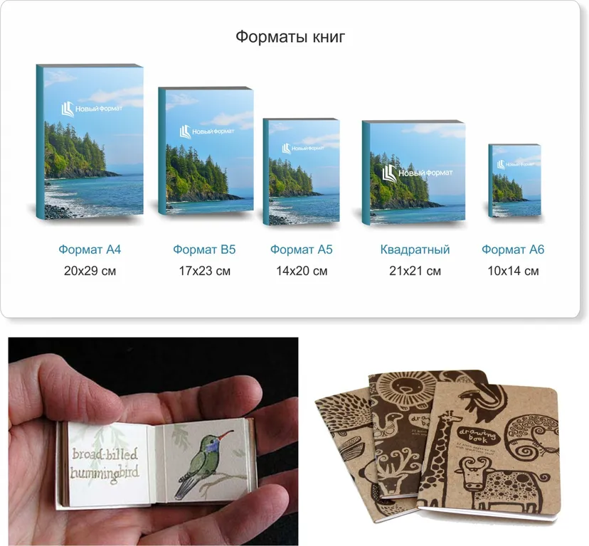 Книжные форматы
