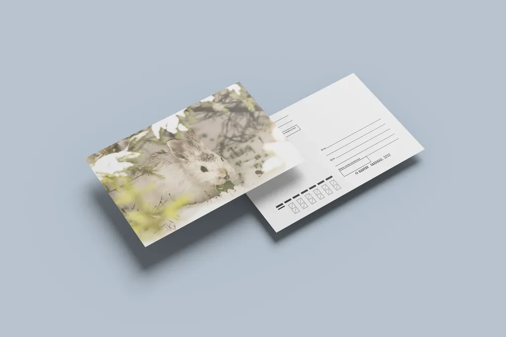 Печать двухсторонних открыток