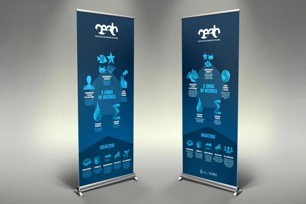 Печать Roll Up