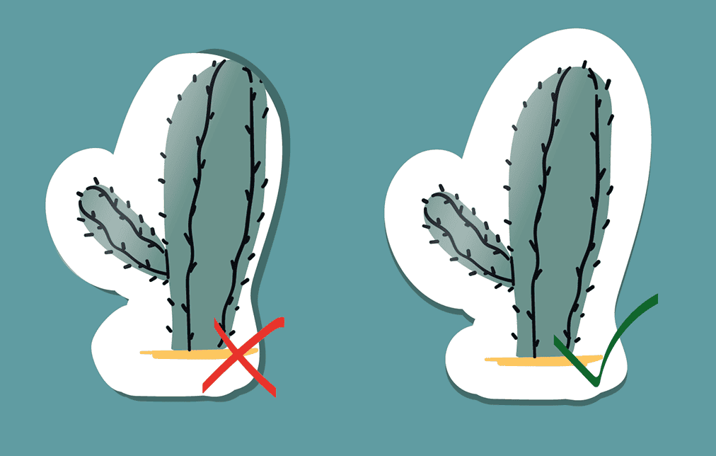 Типографические ошибки в полиграфии